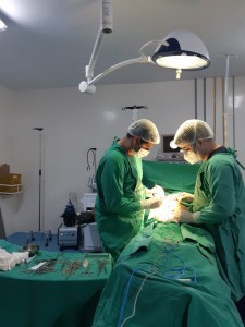 A maior parte dos procedimentos foi de cirurgia geral