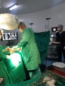Foram realizadas 24 cirurgias neste final de semana