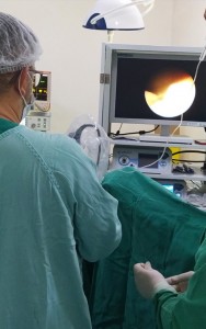 Uma das cirurgias realizadas no plantão deste final de semana.