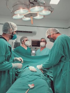 Ao longo de 2022, o Hospital do Bem realizou 1.138 cirurgias mastológicas