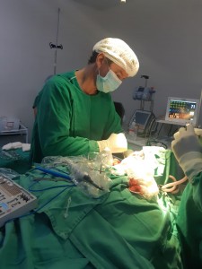Das nove cirurgias realizadas, três foram Geral, outras três Ortopédicas, duas Urológicas e uma Vascular