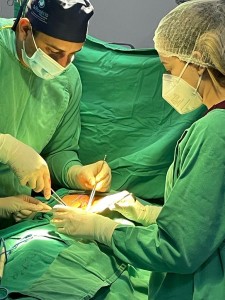 Foram realizadas sete cirurgias durante o plantão deste final de semana no Complexo de Patos