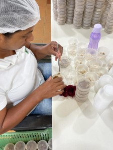 A produção dos bioinsumos obedecem a várias etapas