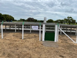 A usina solar vai permitir que a Asplan tenha autossuficiência em energia