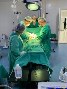 Das 12 cirurgias realizadas, nove foram de urgência e três eletivas